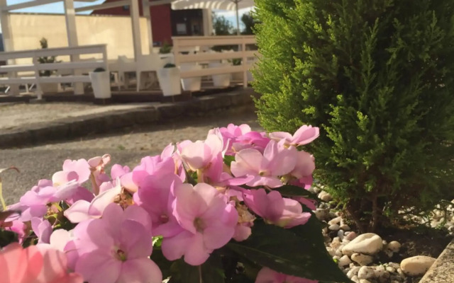 Hotel Rosalia