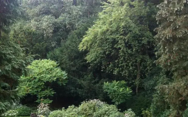 Landgoed Vogelenzang