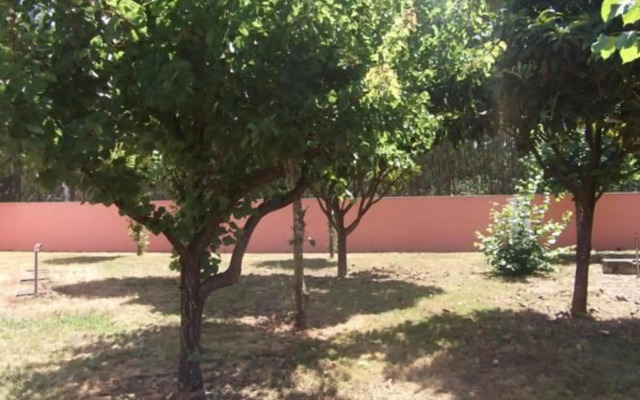 Ribeirotel