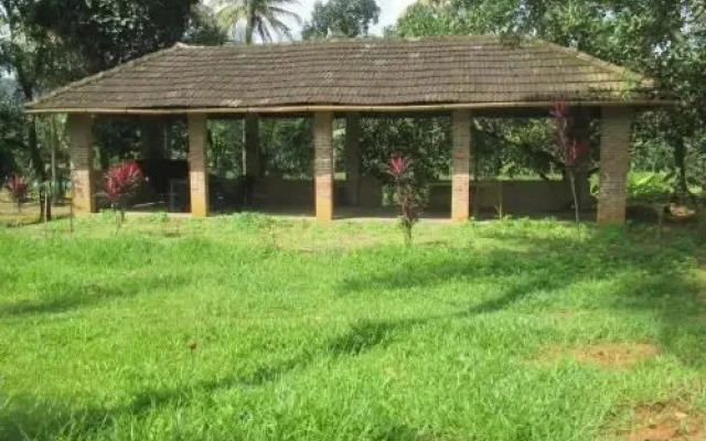 Vayal