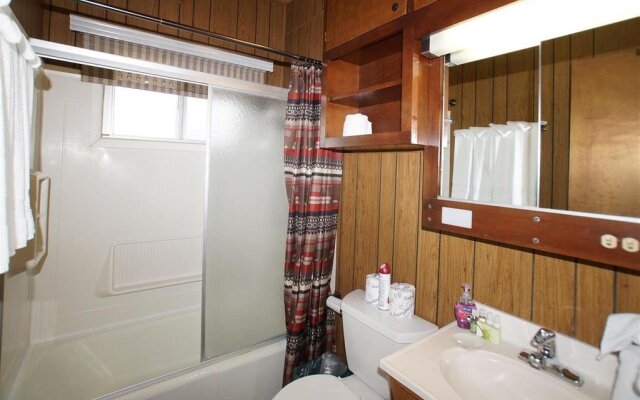 A Sleepy Bear's Hideaway