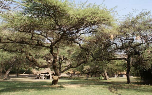 Lake Natron Tented Camp