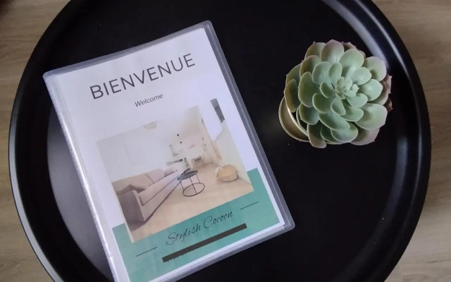 Stylish Duo : T2 lumineux au cœur de Pau