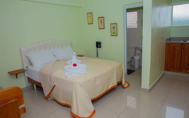 Aparta Hotel Don Olivo