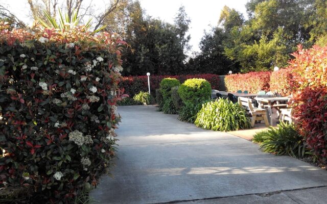 Branxton House Motel, Hunter Valley