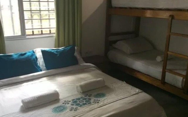 Palm Tree Hostal Medellin Colombia