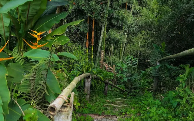 "room in Lodge - Tree House Finca La Floresta Verde"