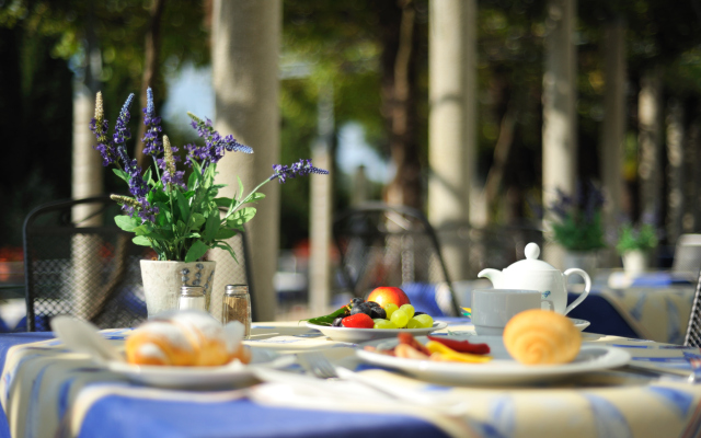 Hotel Svoboda - Terme Krka