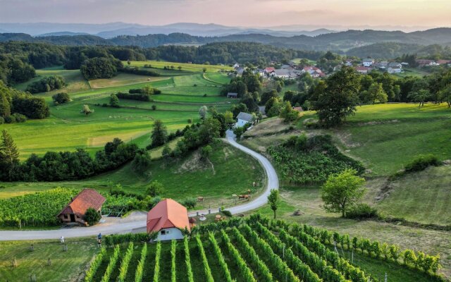 Vineyard Cottage Krivic