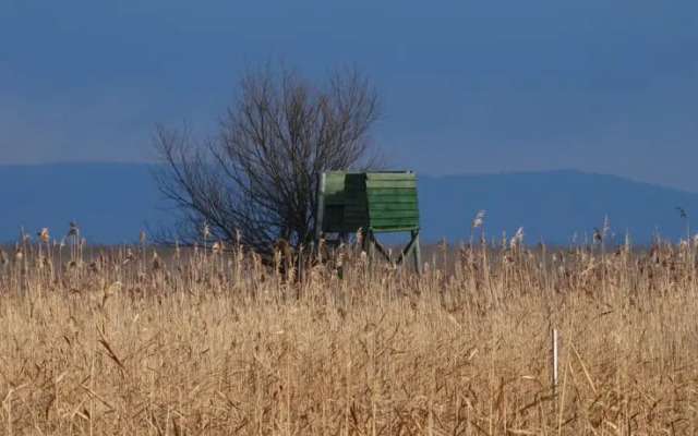 Dom gościnny Ptaszarnia