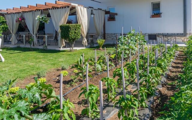 Bed & Breakfast Maki