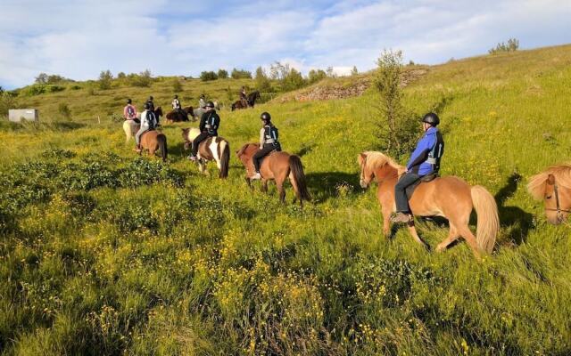 Finnsstaðir Horse Ranch