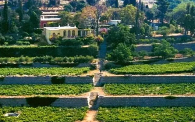 Montofoli Wine Estate