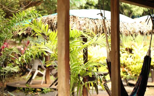 Tiki Lodge Bar & Restaurant - Hostel
