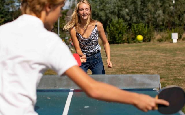 Comfortable Chalet in the Achterhoek