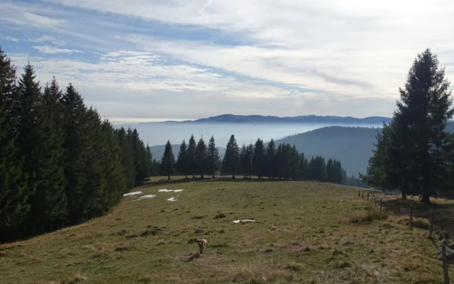 Modern Apartment in Soultzeren