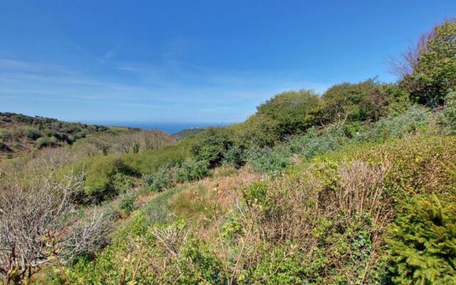 Little Valley 27847