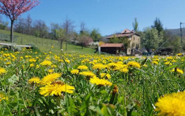 Agriturismo Fattoria Ca Di Sole