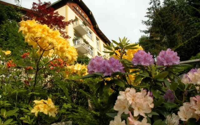 Hotel Alpenblick