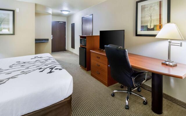 Sleep Inn And Suites Rapid City