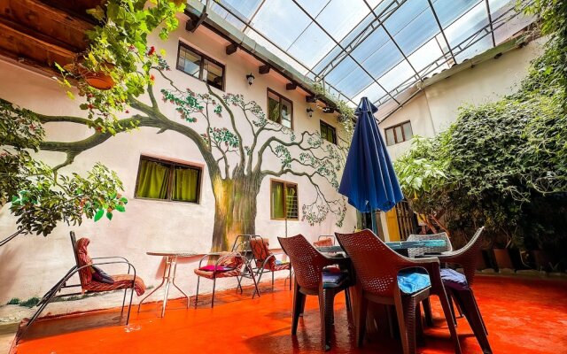 Tucan Hostel