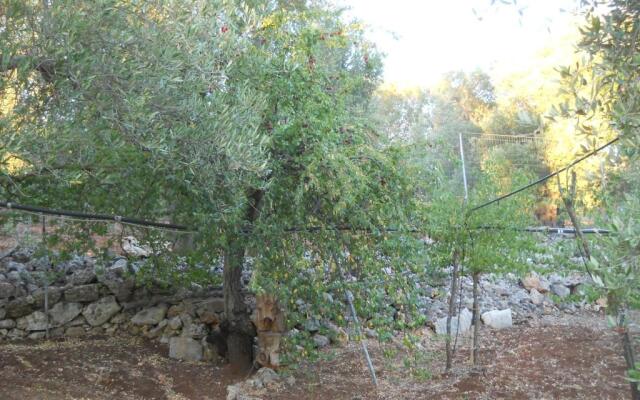 Villa Conte in Salento