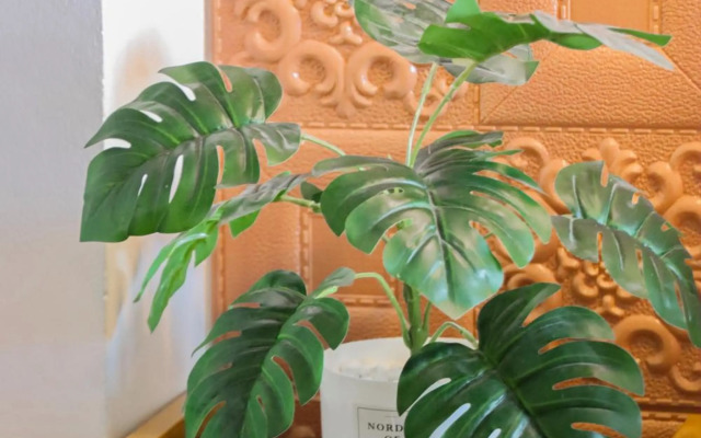 Pranot Apartment & Spa