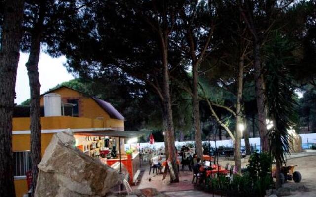 Camping Vejer