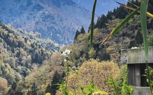 Seyr-i Cennet Dag Evleri