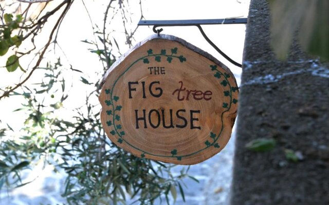 The fig tree house