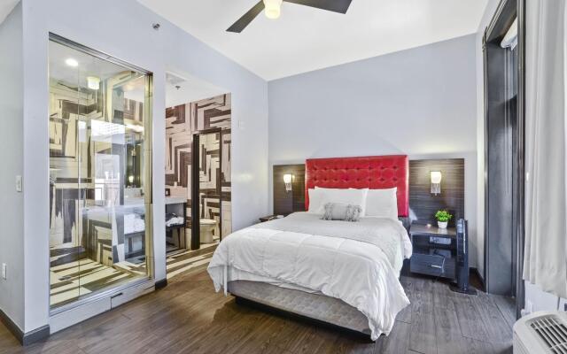 Perfect En Suite Studio