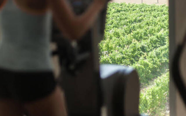 Domaine de Verchant