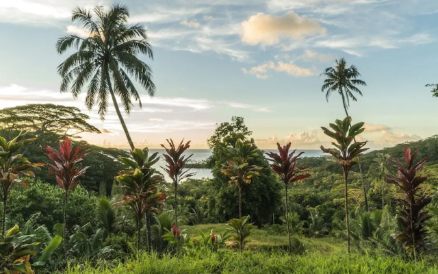 Raiatea - Studio Tumaraa