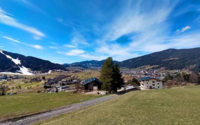 Sauschneidhof - Radstadt