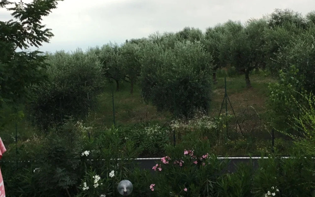 B&B Villa Roncatti