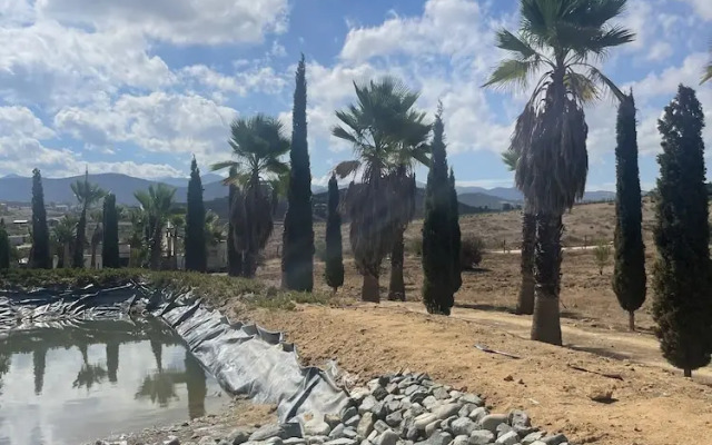 Wine country In Valle de Guadalupe