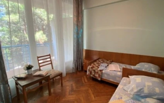 Professorskiy Ugolok Sanatorium