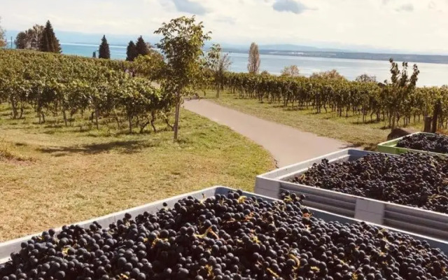 Charmantes Loft mit ganz besonderem Flair