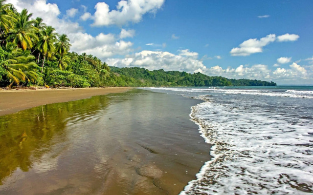 Cristal Ballena Boutique Hotel & Spa