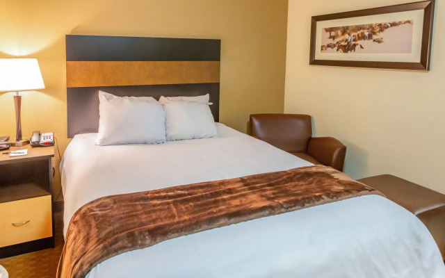 My Place Hotel Minot