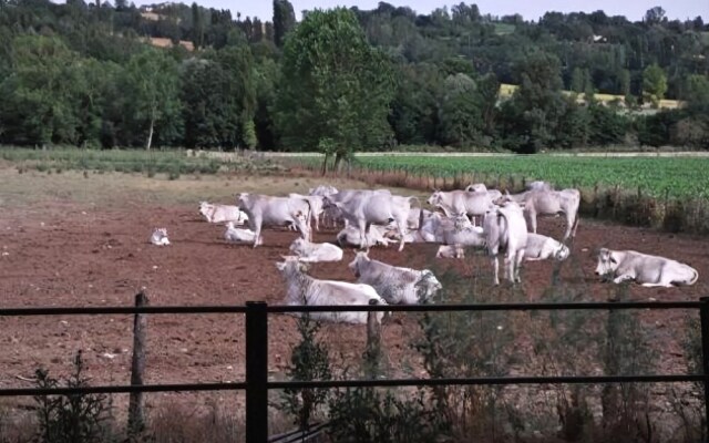 Agriturismo Acqua Calda