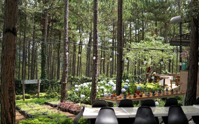 Romeo Juliet Dalat Resort