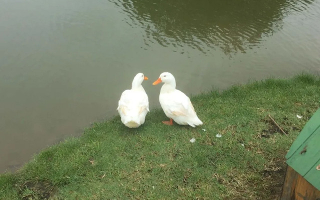 Winterville Residence Suites