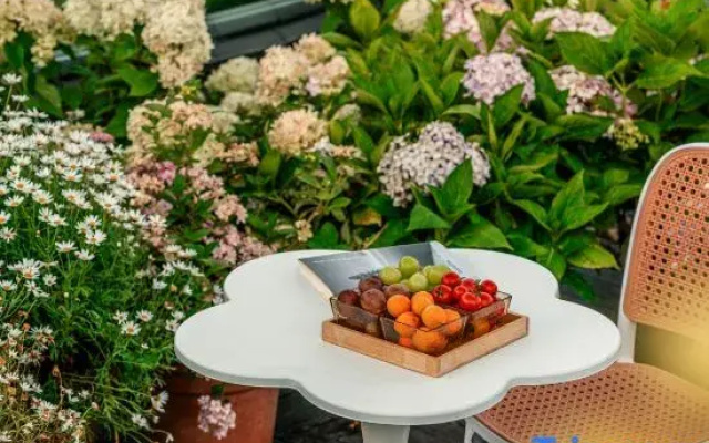 Jin Shan Wang Xue Roof Garden SonwMountain View lnn
