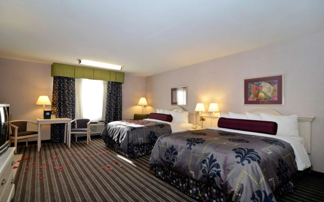 Best Western Borger Inn