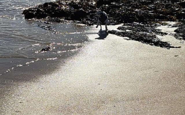 Westbourne by the sea, Benllech, Anglesey.