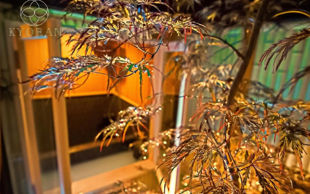 KYORAN RUANTEI-Vacation STAY 72398