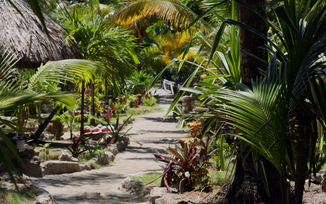 Bella Vista Resort Belize