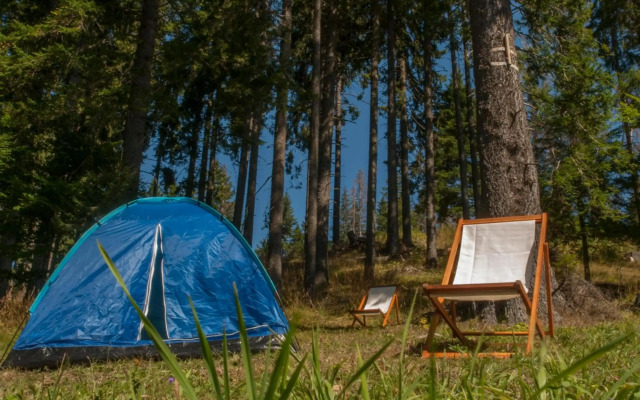 Green Life Family Apartments Pamporovo