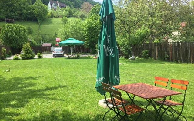 Vila Milenium Residence Bran